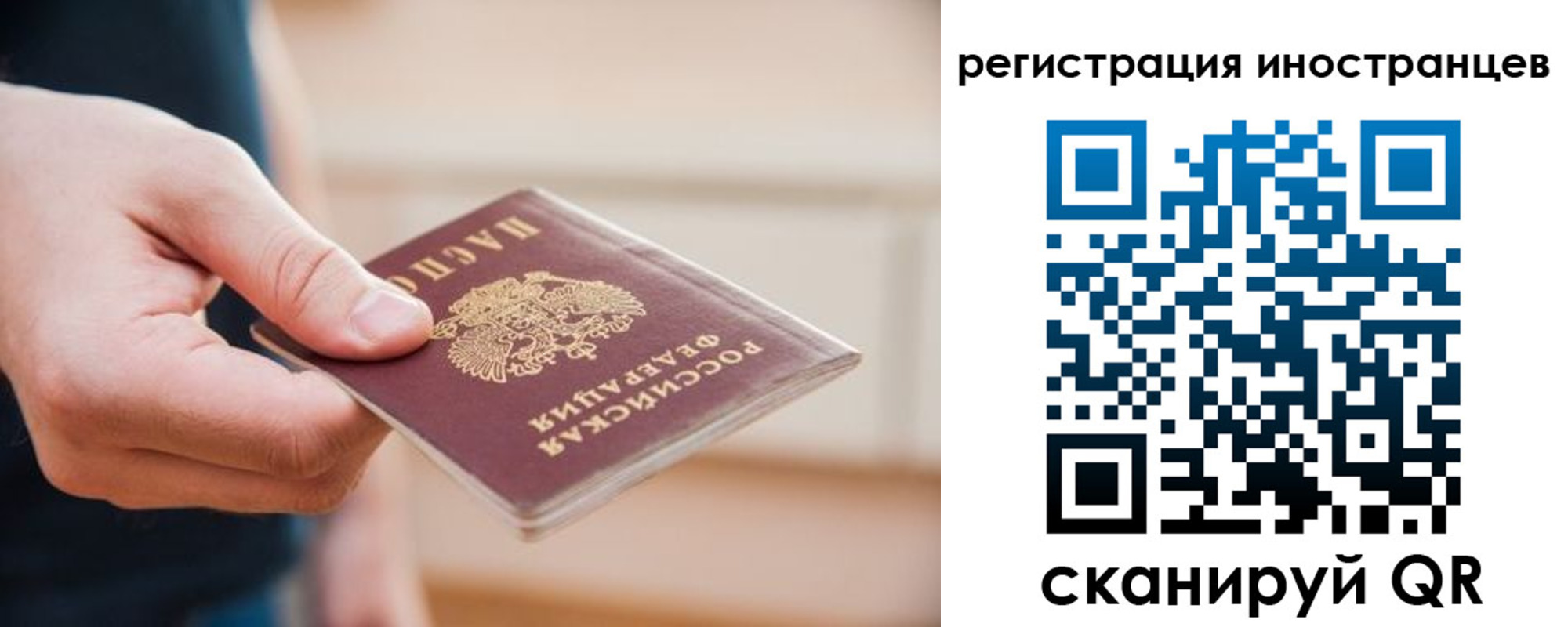 прописка гарантия в Гвардейске